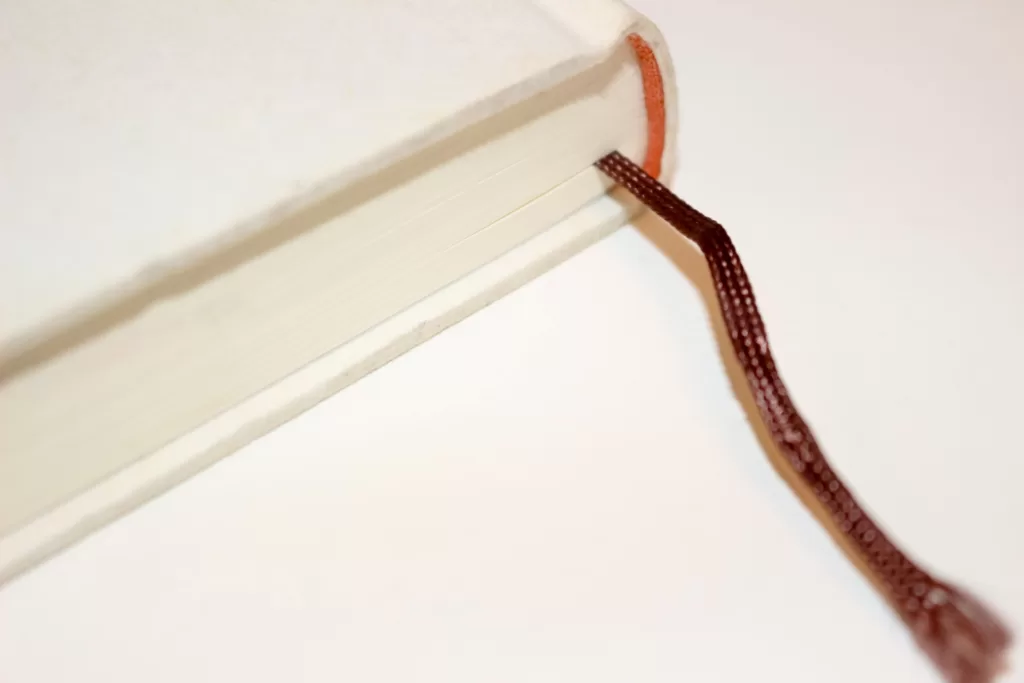 ドメインパワーの目安はどれくらい？