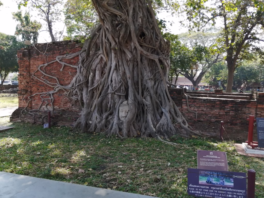 見えますか…？